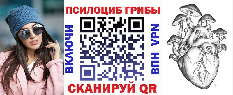 наркотики  Тимашёвск  Галлюциногенные грибы ЛСД 